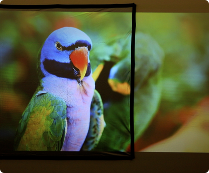 Photon E-ALR Projection Screen